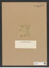 Triceratium turgidum Cleve (de-Toni-Nr.: Genus 140, Species 3965) Zeichnungen Sammlung Grunow Nr. 7441 (NHMW-BOT-W0376527)